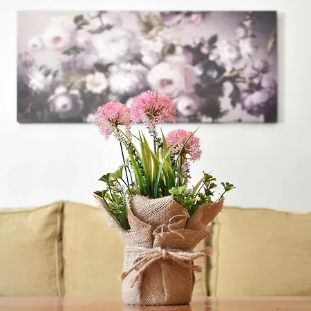 Piso Saturno Bajo C Conil Appartement Conil De La Frontera