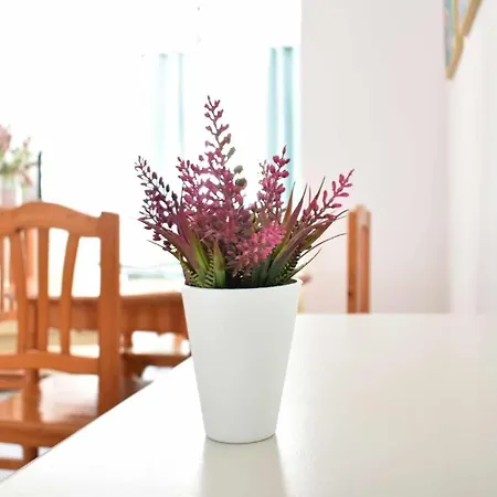 Piso Saturno Bajo C Conil * Conil De La Frontera