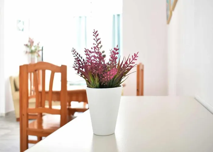 Piso Saturno Bajo C Conil * Conil De La Frontera